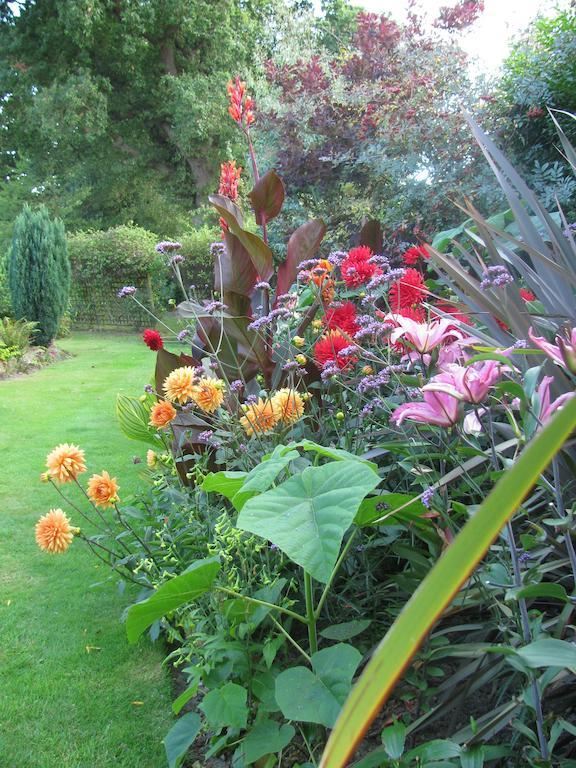 Bed and Breakfast The Corner House Rye Zimmer foto