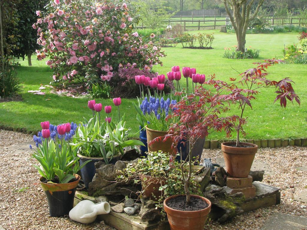 Bed and Breakfast The Corner House Rye Zimmer foto